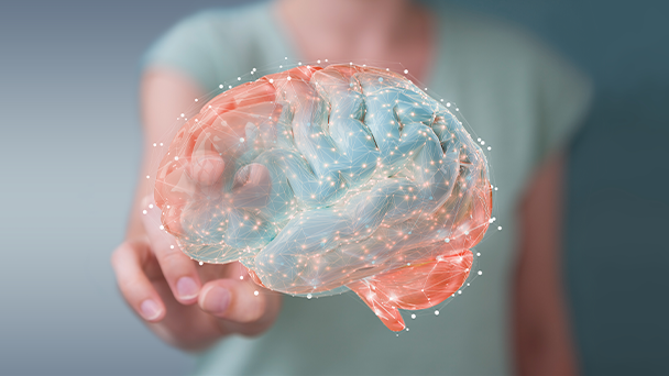 BRAIN HEALTH COURSE